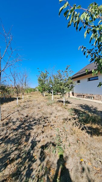 Giurgiu Loc de casa la 27 km de Bucuresti, 1265mp
