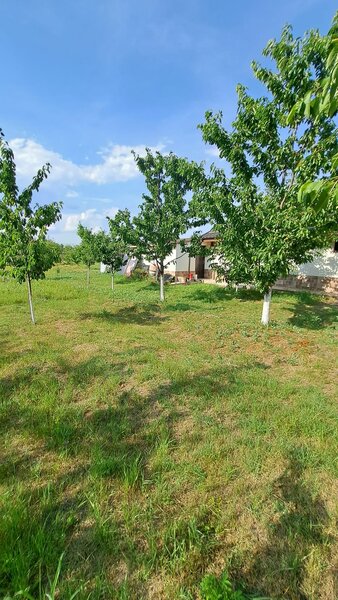 Giurgiu Loc de casa la 27 km de Bucuresti, 1265mp