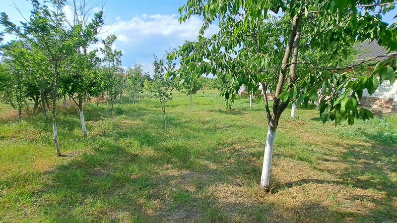 Giurgiu Loc de casa la 27 km de Bucuresti, 1265mp