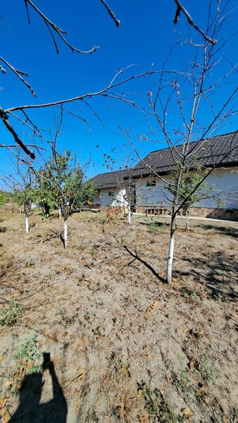 Giurgiu Loc de casa la 27 km de Bucuresti, 1265mp