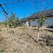 Giurgiu Loc de casa la 27 km de Bucuresti, 1265mp